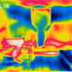 Illustration for article titled 16 Ways To Use FLIR's Incredibly Fun Predator-Vision iPhone Camera